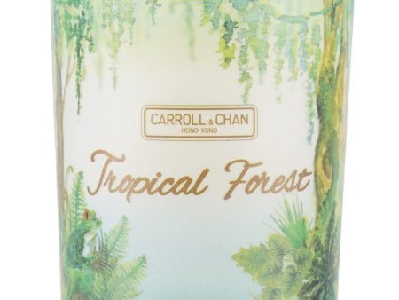 100% Beeswax Votive Candle - Tropical Forest - 65g 2.3oz Fashion